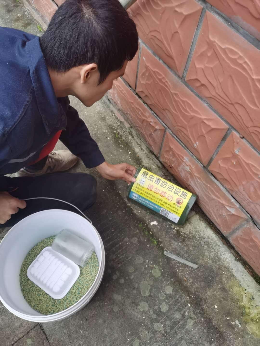 德阳除四害